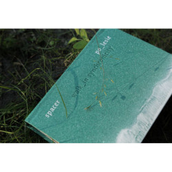 Spacer po lesie  /  Walk in Synchronicity  Bartłomiej Talaga