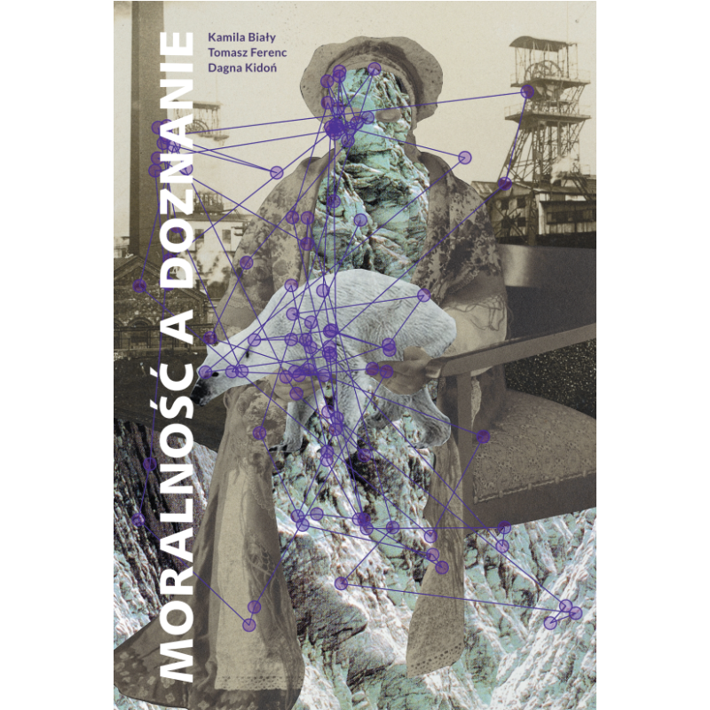 Moralność a doznanie. Uwagi o estetycznym i pozaestetycznym doświadczaniu sztuki (e-pub)